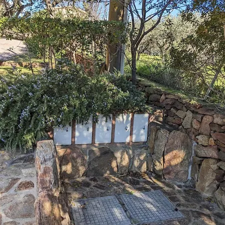 Daire Casa Della Balena