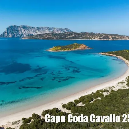 Casa Della Balena * 布多尼