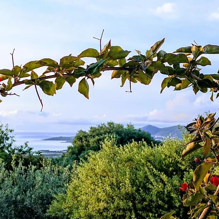 Casa Della Balena * 布多尼