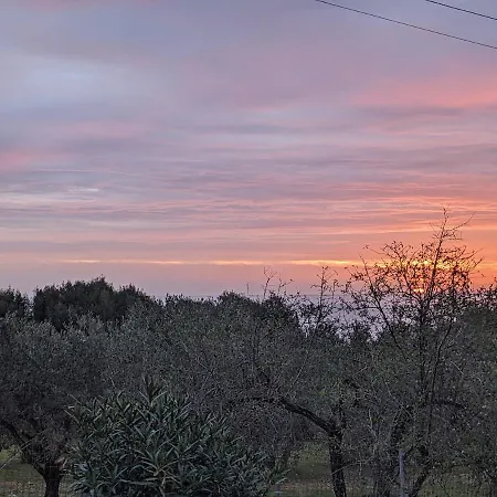 Casa Della Balena Διαμέρισμα Budoni