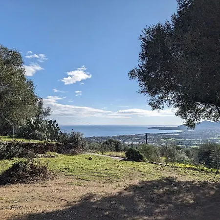 Casa Della Balena Διαμέρισμα Budoni