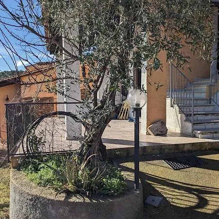 Casa Della Balena *